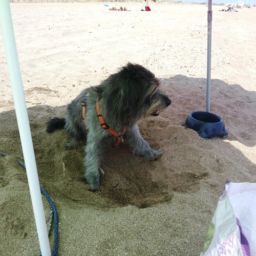 Urlaub Frankreich 2015 (17)